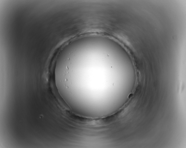 X0000088041165200706011318