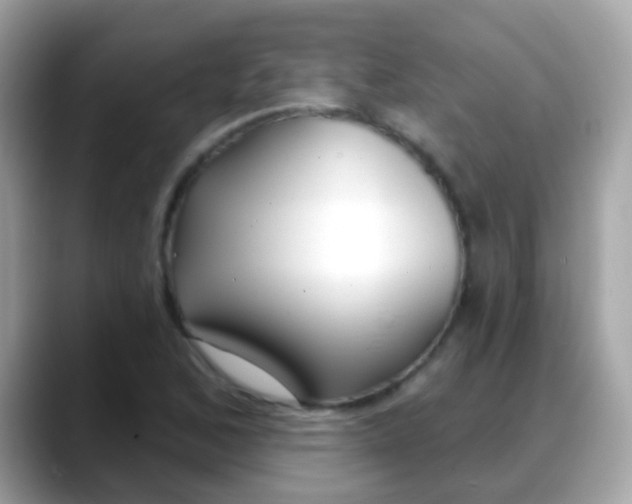 X0000088041168200706011318