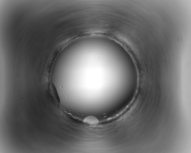 X0000088041169200706011318