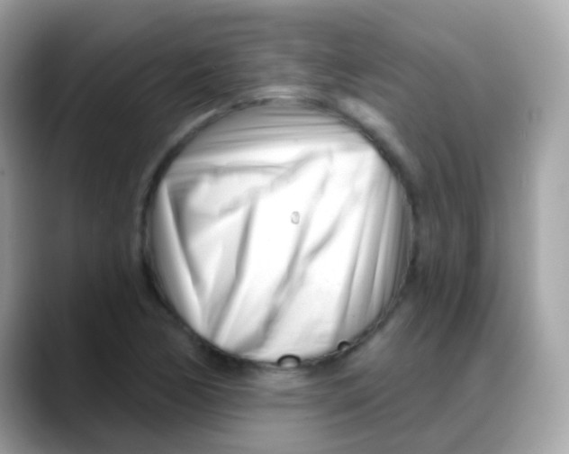 X0000088041170200706011318