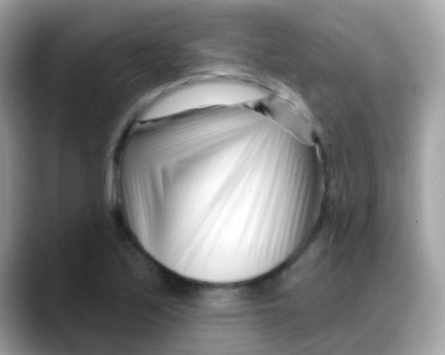 X0000088041171200706011318