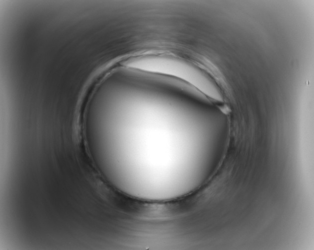 X0000088041172200706011318