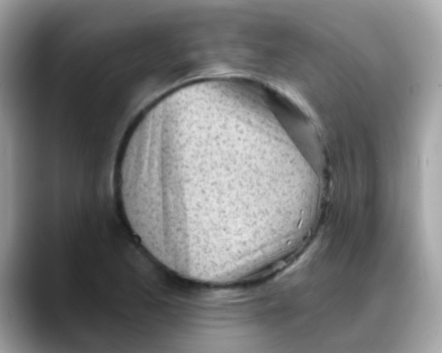 X0000088041173200706011318