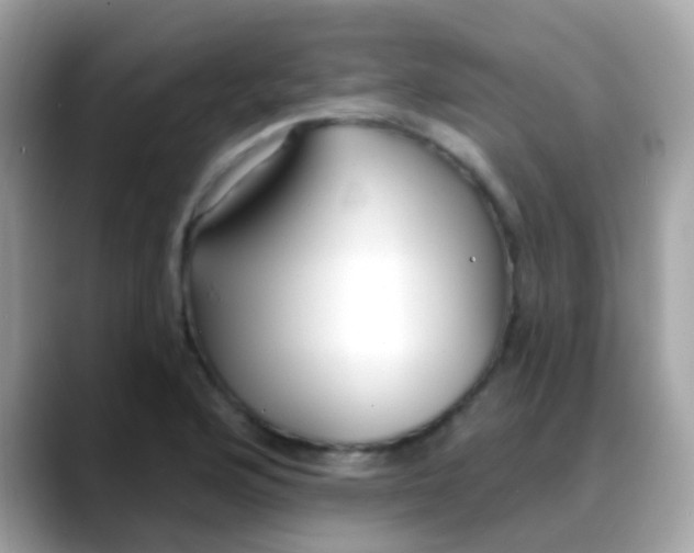 X0000088041176200706011318