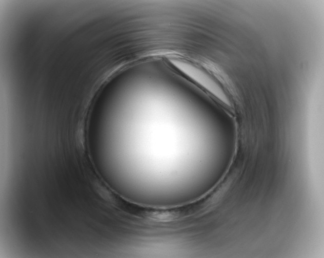 X0000088041177200706011318