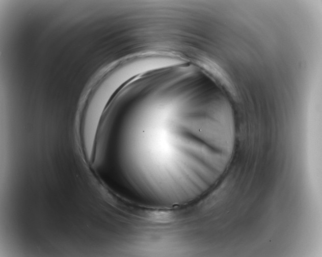 X0000088041180200706011318