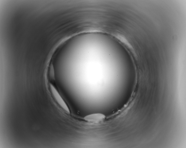 X0000088041181200706011318