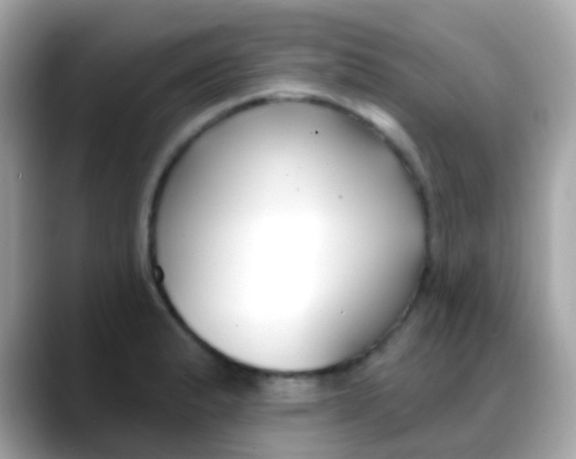 X0000088041183200706011318