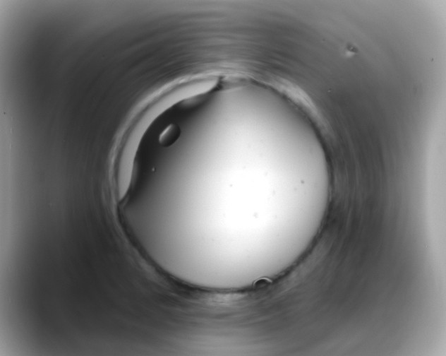 X0000088041184200706011318