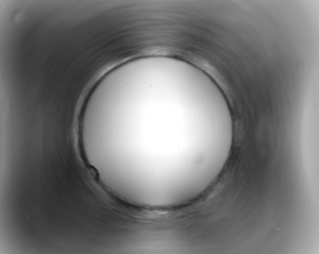 X0000088041187200706011318