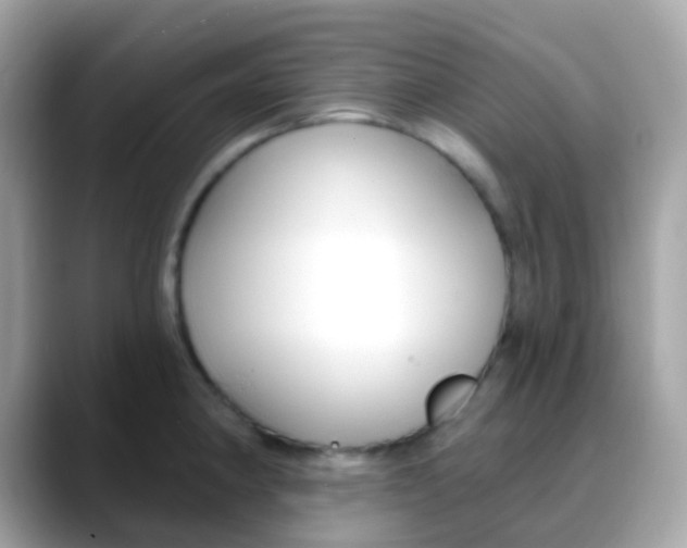 X0000088041190200706011318