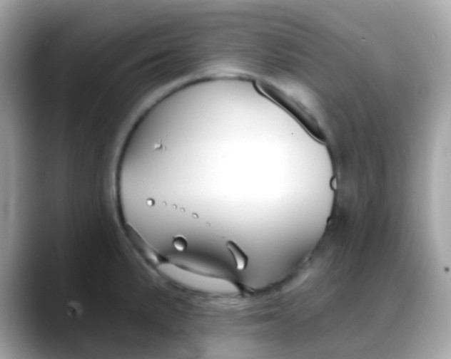 X0000088041191200706011318