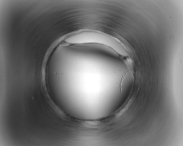 X0000088041196200706011318