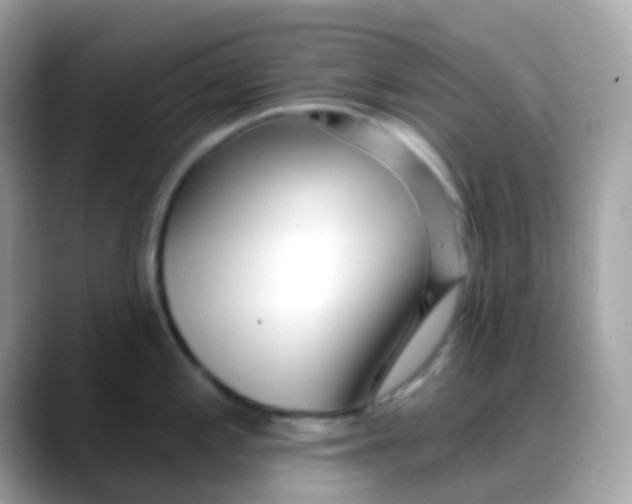 X0000088041197200706011318