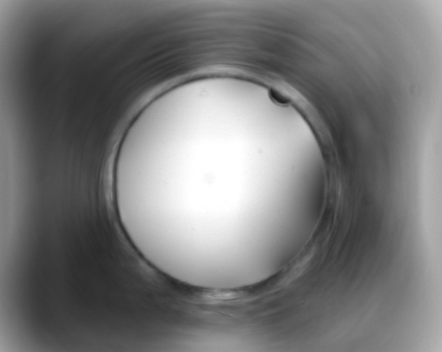 X0000088041199200706011318