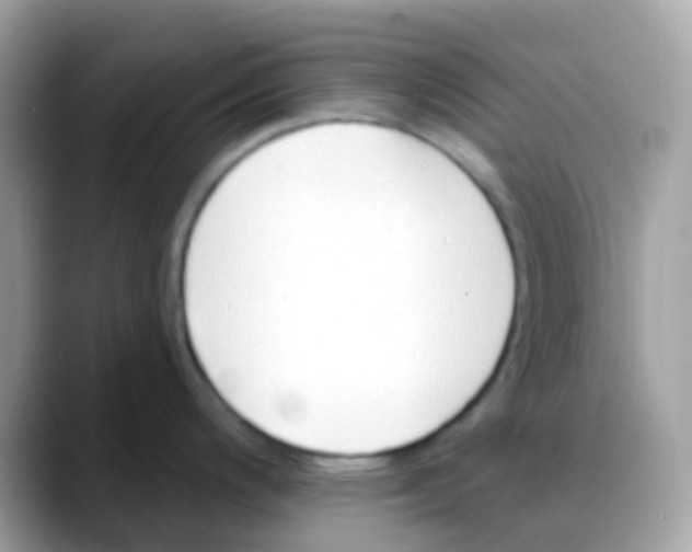 X0000088041200200706011318