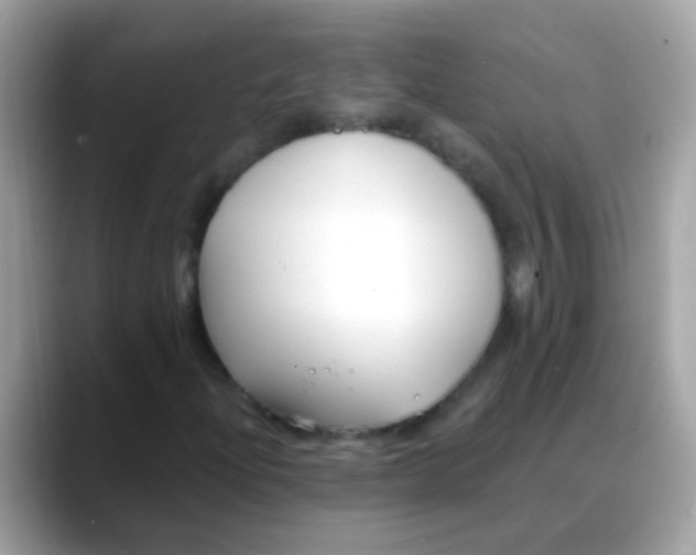 X0000088041204200706011317