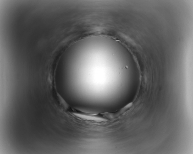 X0000088041206200706011317