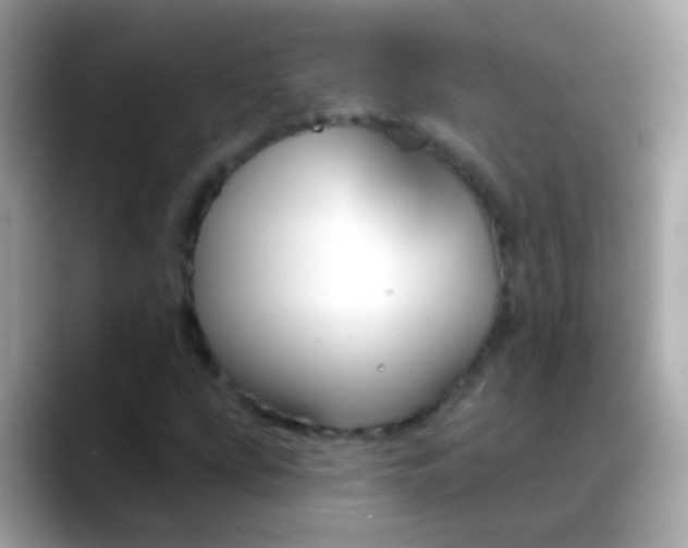 X0000088041207200706011317