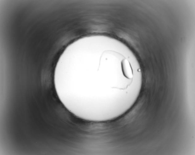 X0000088041211200706011318