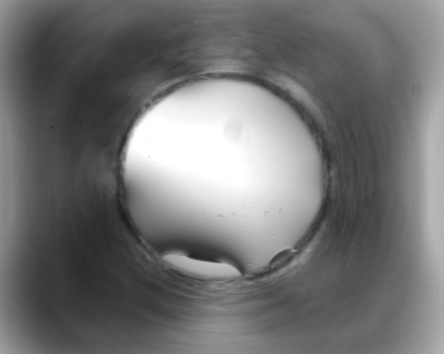 X0000088041212200706011318