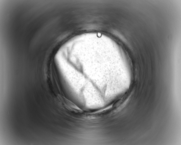 X0000088041213200706011318