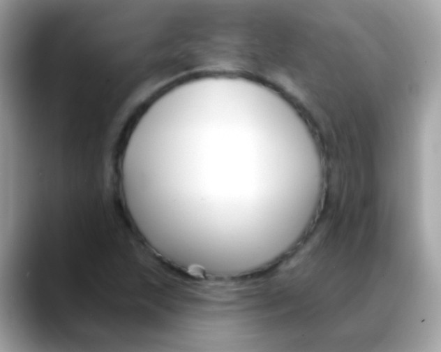 X0000088041215200706011318