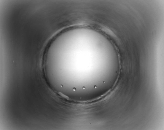 X0000088041216200706011318