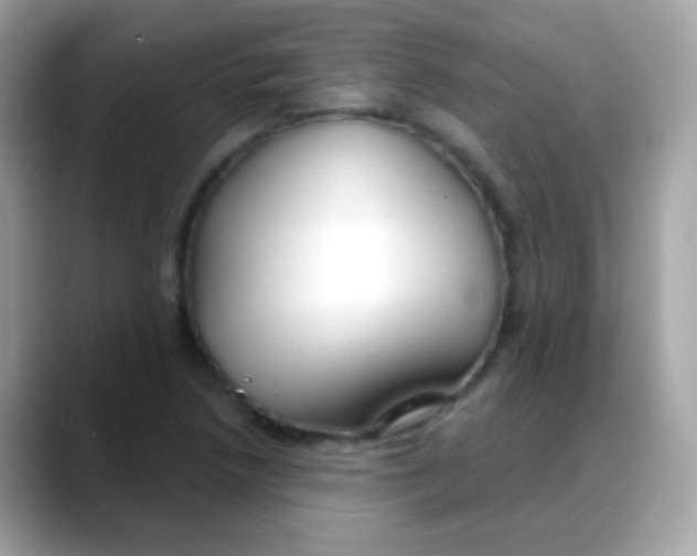 X0000088041218200706011318