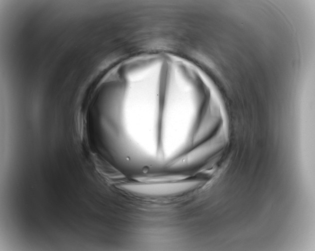 X0000088041219200706011318