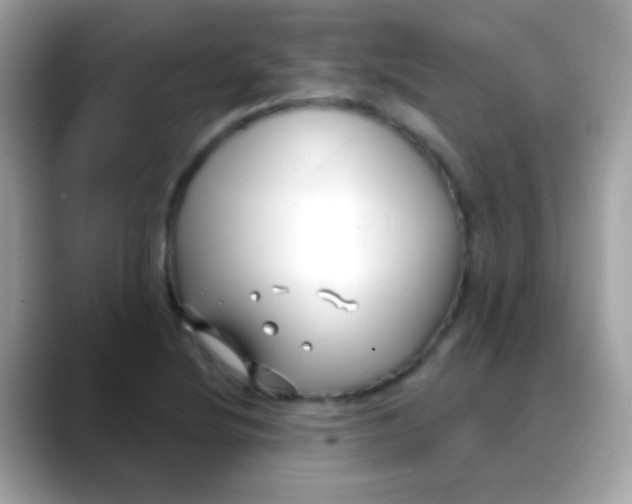 X0000088041220200706011318