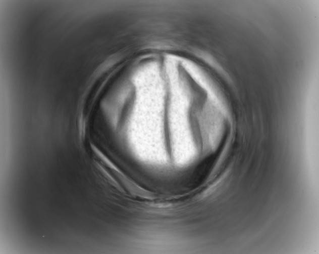 X0000088041221200706011318