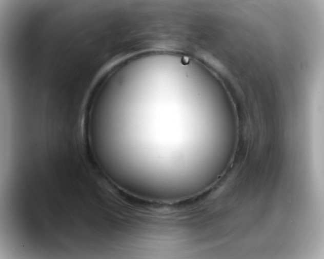 X0000088041222200706011318