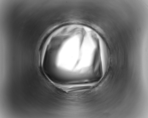 X0000088041223200706011318