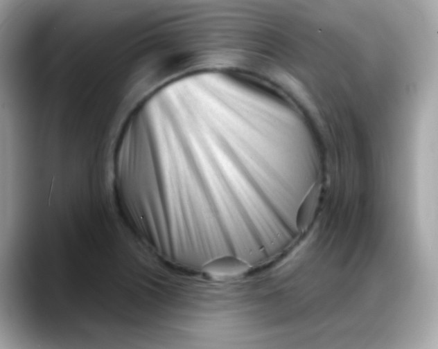 X0000088041226200706011318