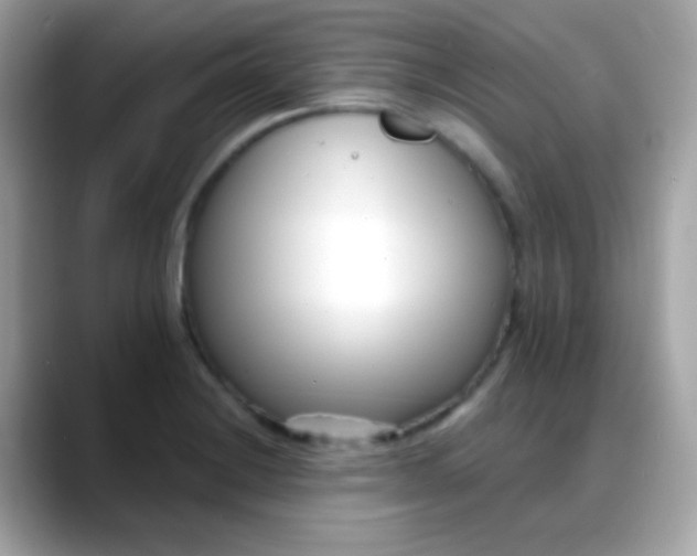 X0000088041228200706011318