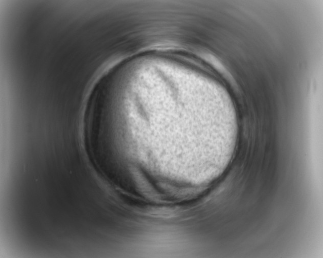 X0000088041229200706011318