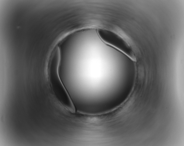 X0000088041230200706011318