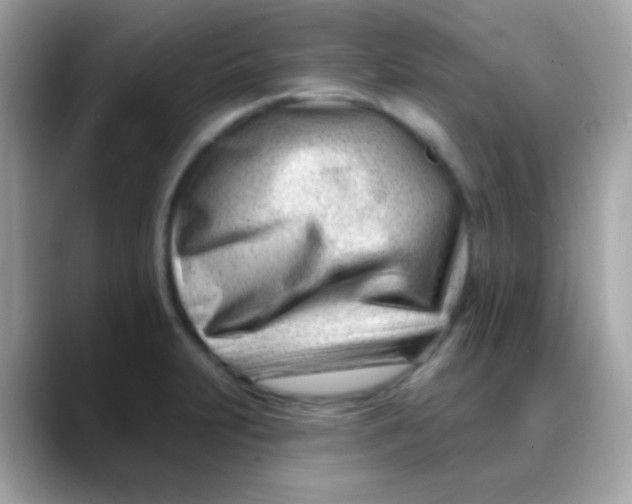 X0000088041231200706011318