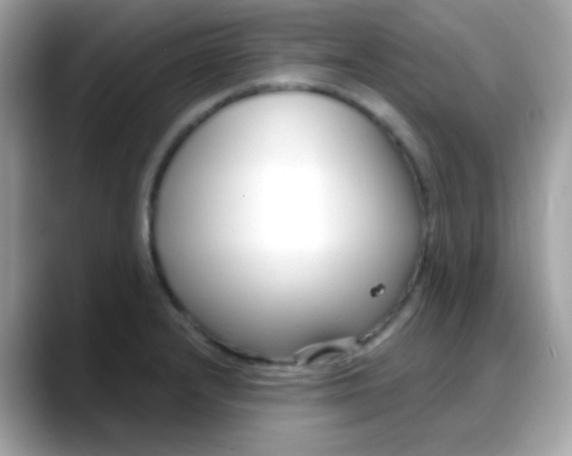 X0000088041232200706011318