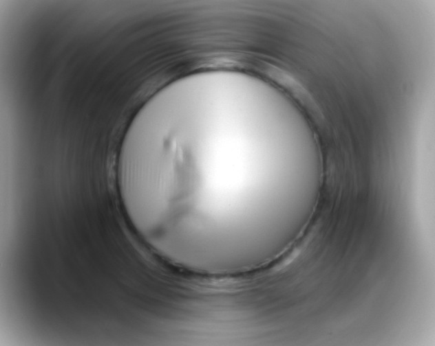 X0000088041233200706011318