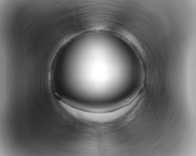 X0000088041234200706011318