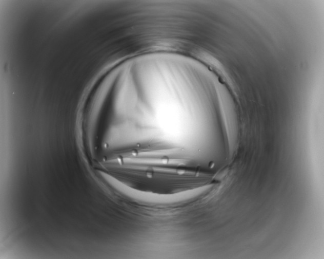 X0000088041235200706011318