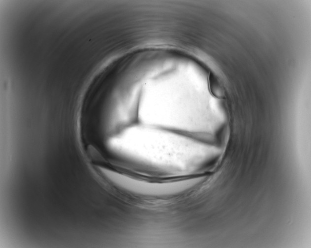 X0000088041237200706011318