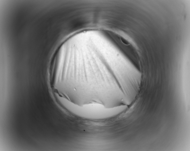 X0000088041239200706011318