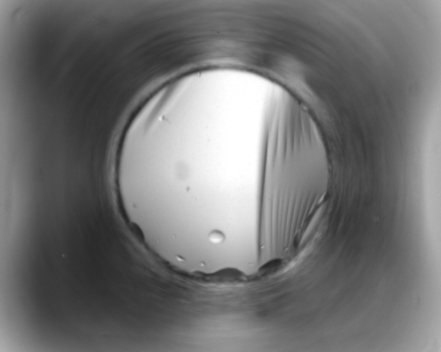 X0000088041240200706011318