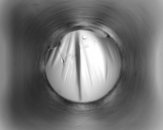 X0000088041241200706011318