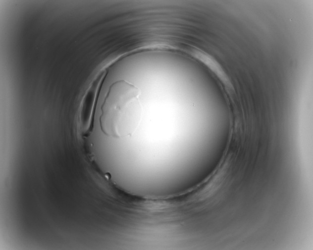 X0000088041242200706011318