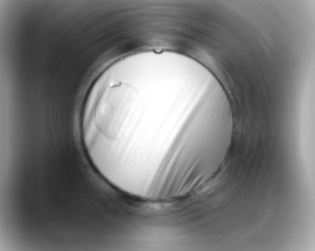 X0000088041243200706011318