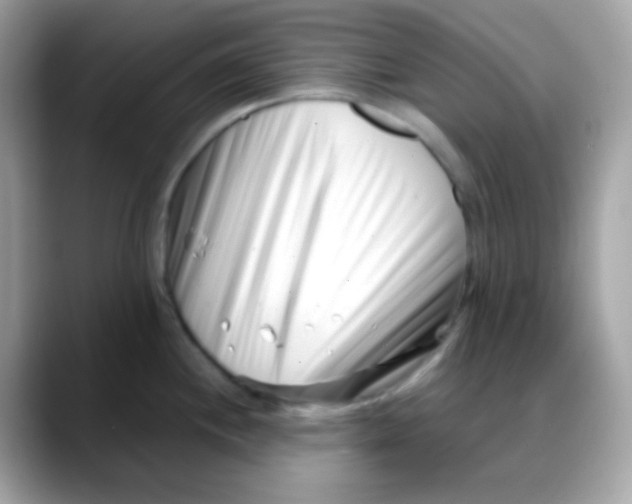 X0000088041244200706011318